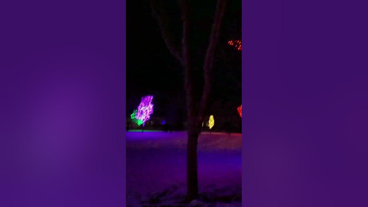 City of Roy Christmas Lights 1 YouTube