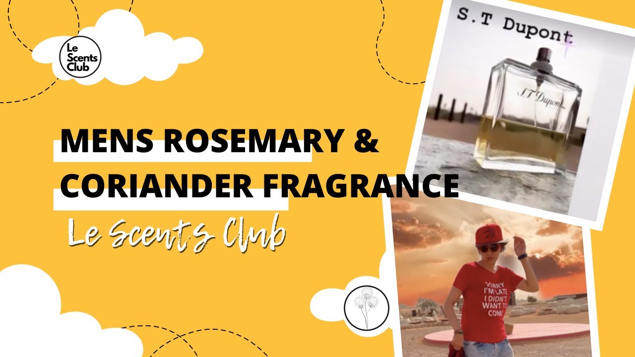 Mens Rosemary and Coriander Fragrance - St Dupont
