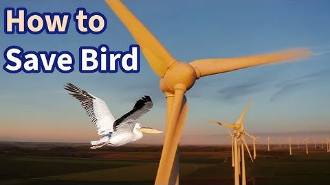 How technology is saving birds at wind farms