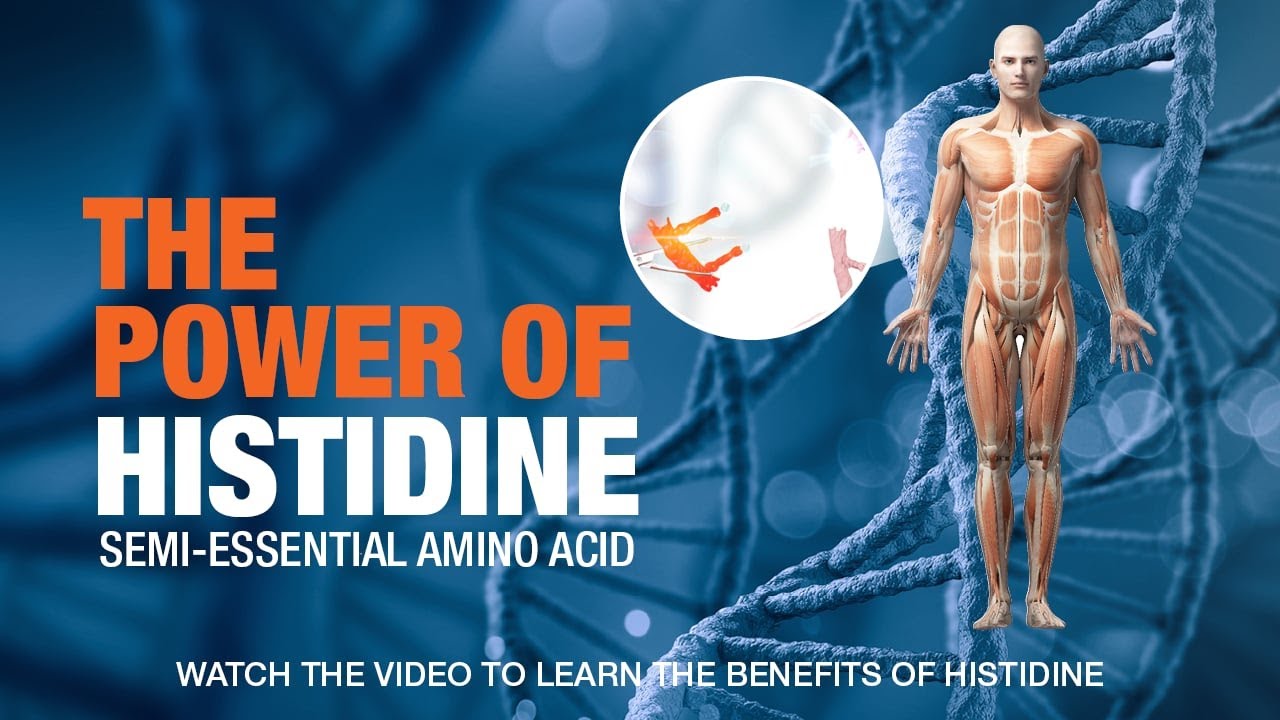 Histidine Deficiency  The Silent Health Disrupter