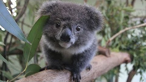 Mixes #004 - Progressive Breaks