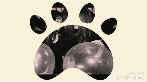 Nonstop  2 9 2019 cực sung