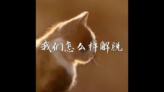 201708 我们怎么样解脱40239