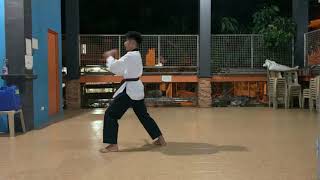 Francis Cyril Cariazo, Danified Taekwondo, Brown