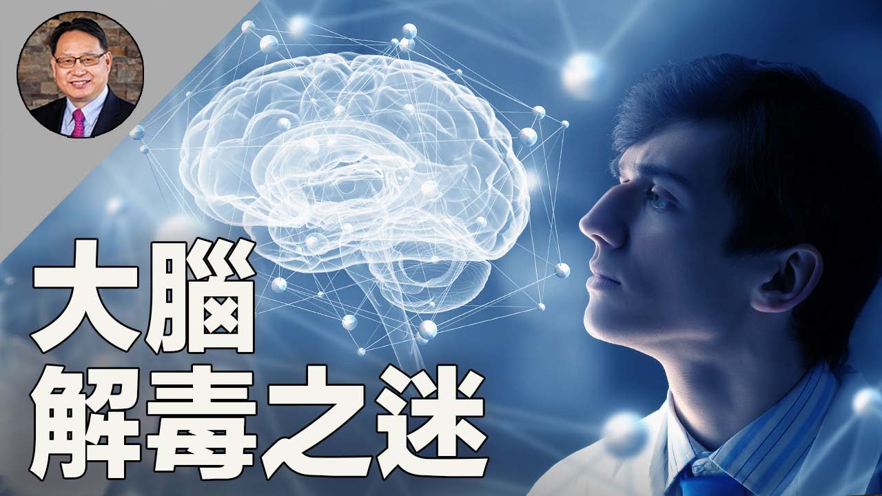 別讓大腦成「垃圾場」！這樣做促進大腦解毒！