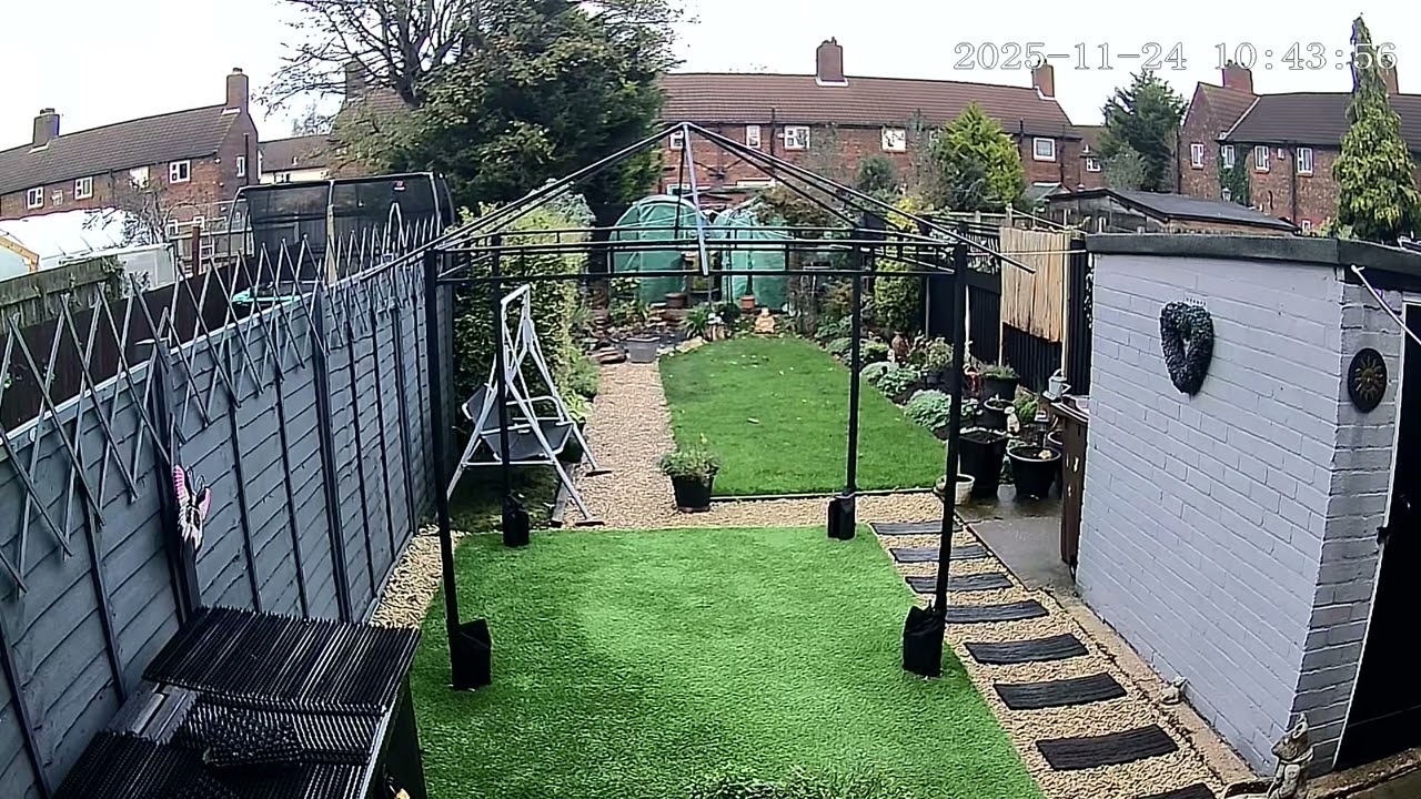 (24/11/2025) 10:42am HULL (Uk) BYC [0261]