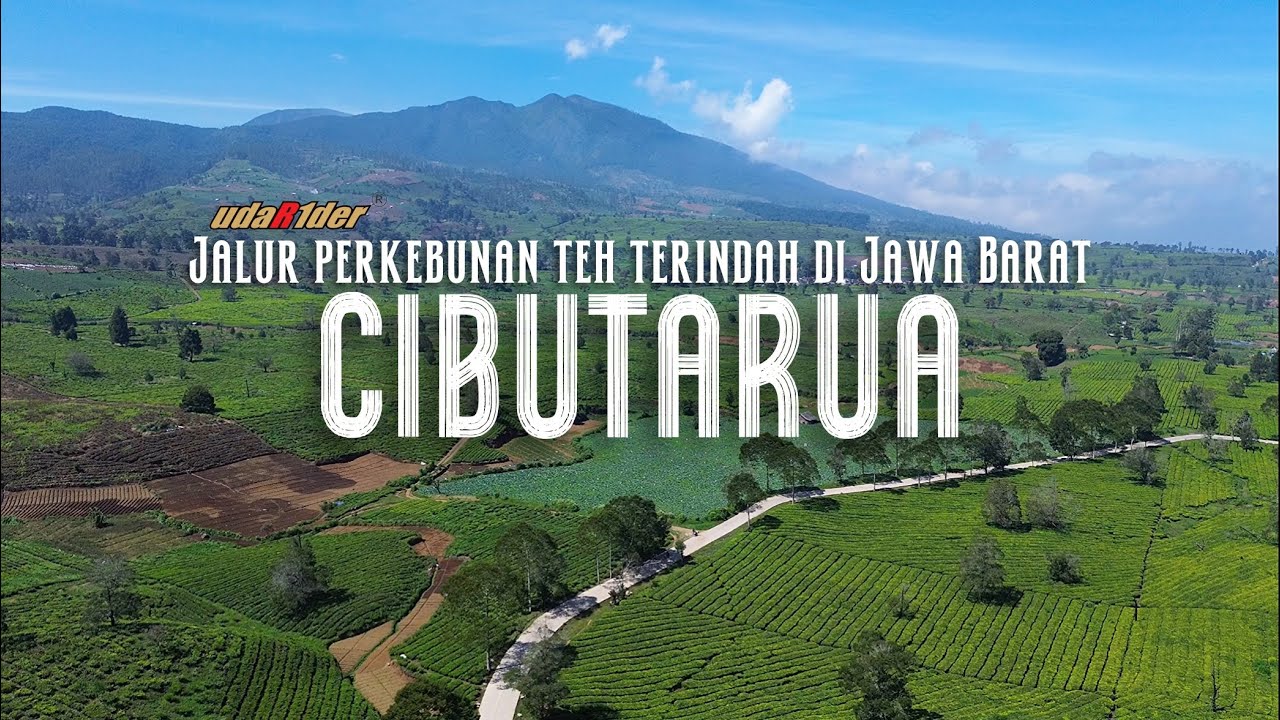Menyusuri Surga Tersembunyi di Ujung Selatan Bandung, Panorama Magis di Jalur Teh Bandung-Garut‼️