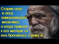 Старик спас в лесу замерзающего мальчика, а когда пришел к его матери то она бросилась к нему и...