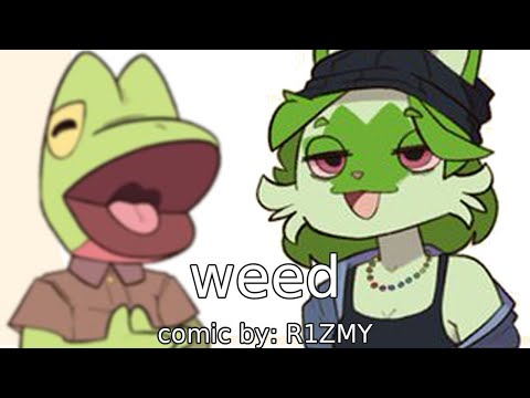 weed