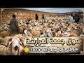 مباشرة من سوق الجمعة العرارشة مع اتمنة حولي عيد الاضحي بتاريخ 2026 5 15 