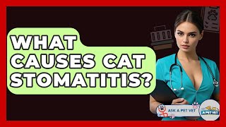 What Causes Cat Stomatitis? - Ask A Pet Vet