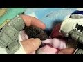 First night in care for the twin flying-foxes:  Velcro and Klingon