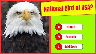 Test Your Brain! Ultimate General Knowledge Trivia Quiz