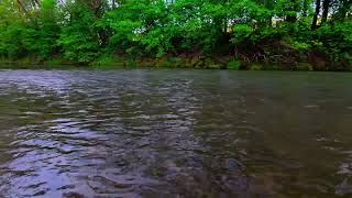Forest River
