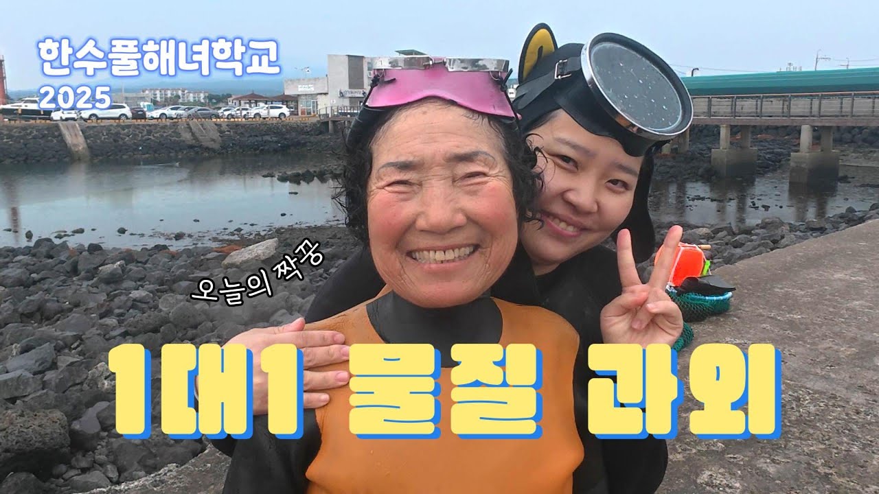해녀 삼춘한테 배우는 1대1 물질 과외🤿 | 톳 우미 실전 작업 하는 날
