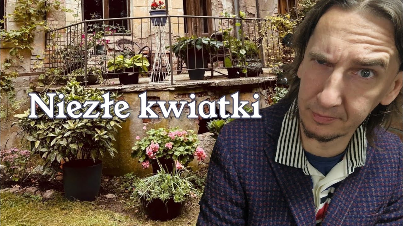 Ciężarówka roślin w prezencie | Psuję, reperuję, wiersze recytuję | Kolory jesieni