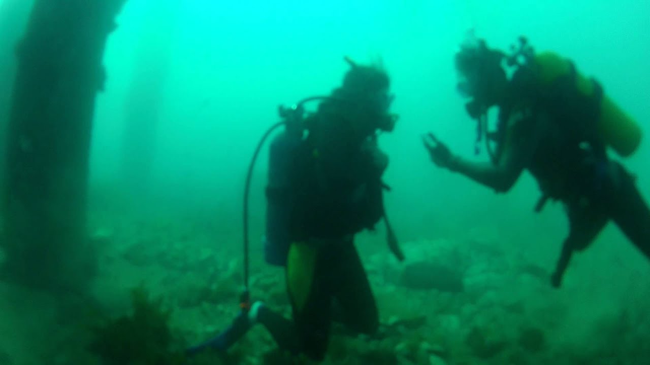 Underwater Proposal while scuba diving!!!