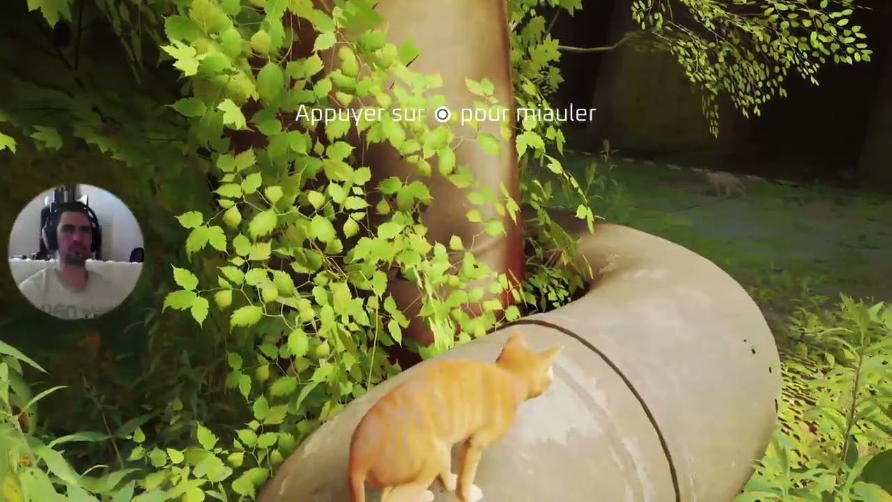 Crezip - [FR] Stray - Partie 1