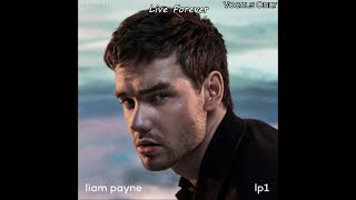 Liam Payne   Forever w Cheat Codes vocals Only