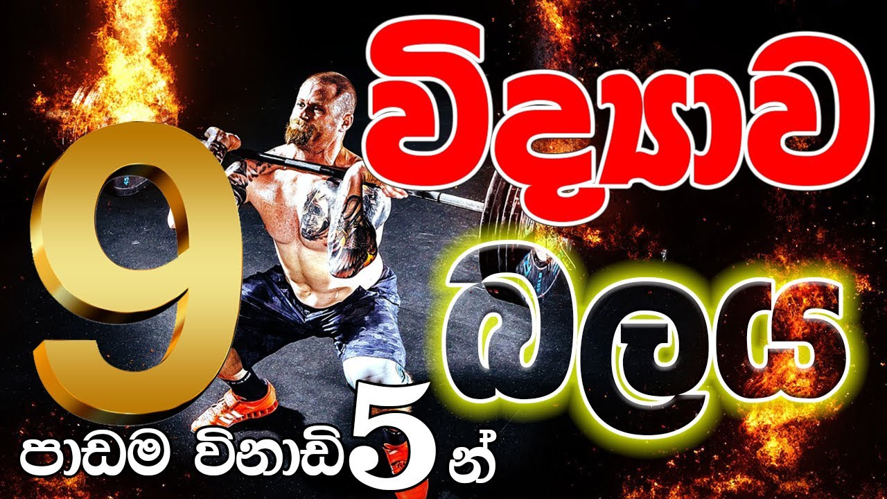9 විද්‍යාව | බලය හා  සම්බන්ධ මුලික සංකල්ප පාඩම විනාඩි 5න්
