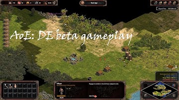 Age of Empires Definitive Edition beta gameplay