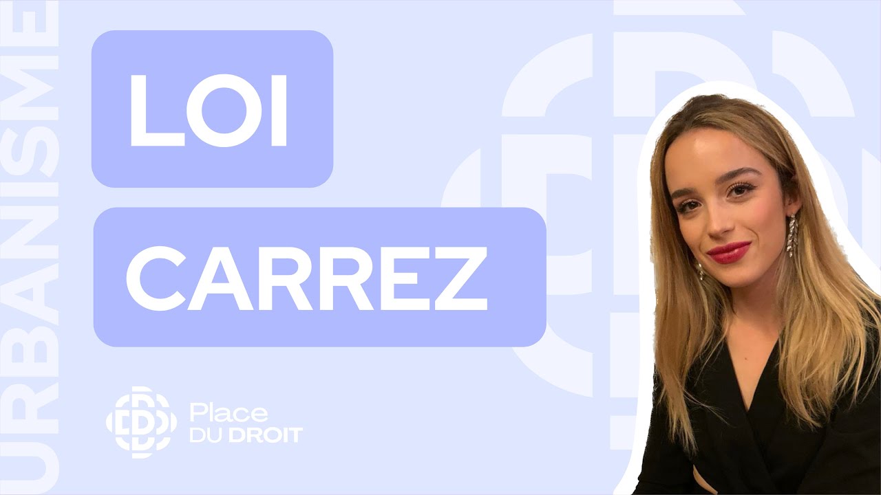 Le guide complet sur la LOI CARREZ ! 🏠 - YouTube