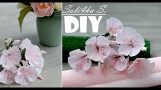 : ͳ   /    / crepe paper flowers/ DIY soli4ka_s