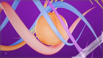 Functions of financial management