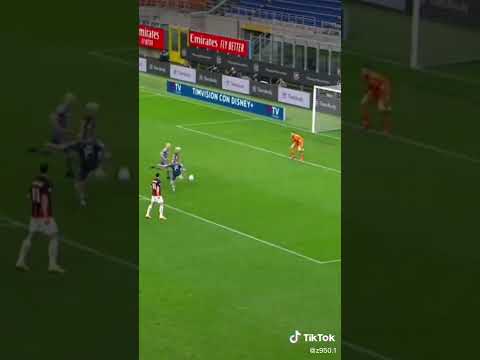 ابراهيم موفيتش Zlatan Ibrahim Movitch