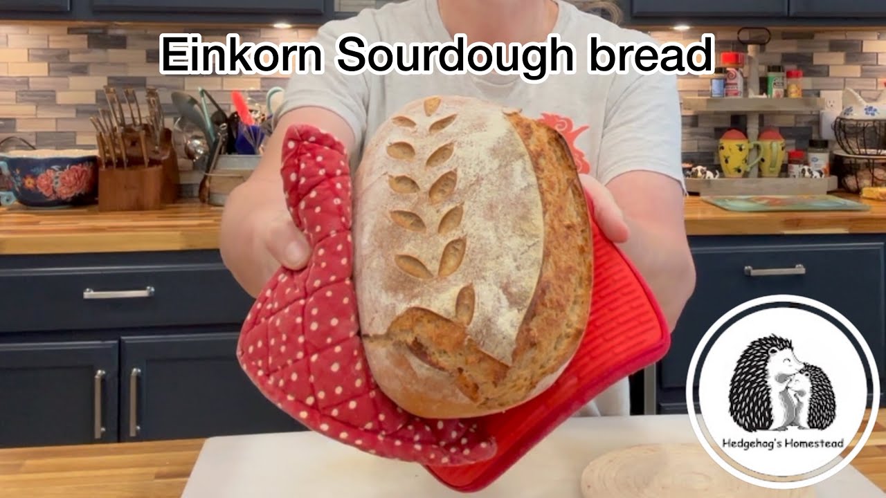 Anyone can make this Einkorn sourdough bread!