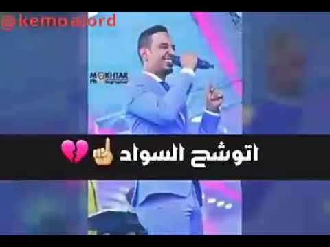 زولي الاخدر