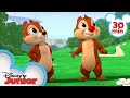 Nutty Tales 30 Minute Compilation! | Chip 'N Dale's Nutty Tales | Disney Junior