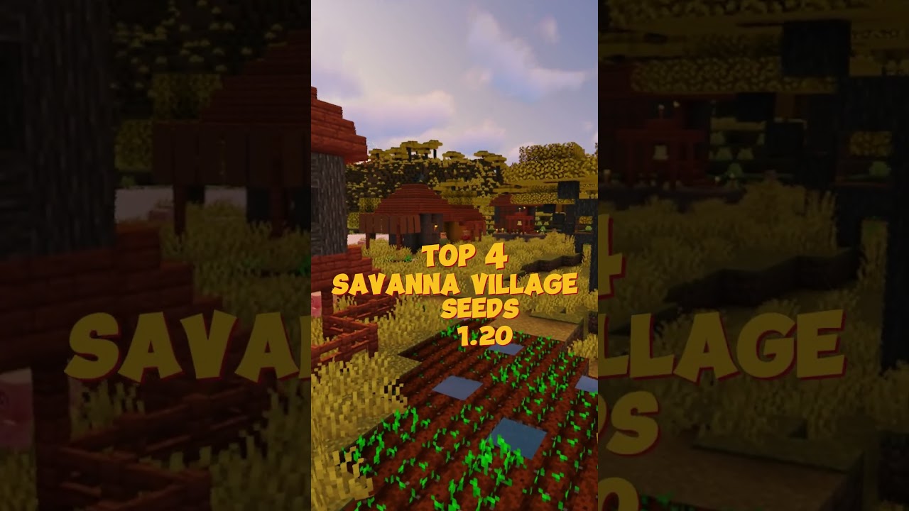 TOP 4 SAVANNA VILLAGE SEED 1.20 