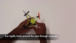 Insect-Inspired Mechanical Resilience for Multicopters