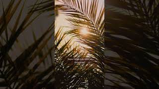 what this year taught me  #sunset  #summerlifestyle  #deepmusic  #quote