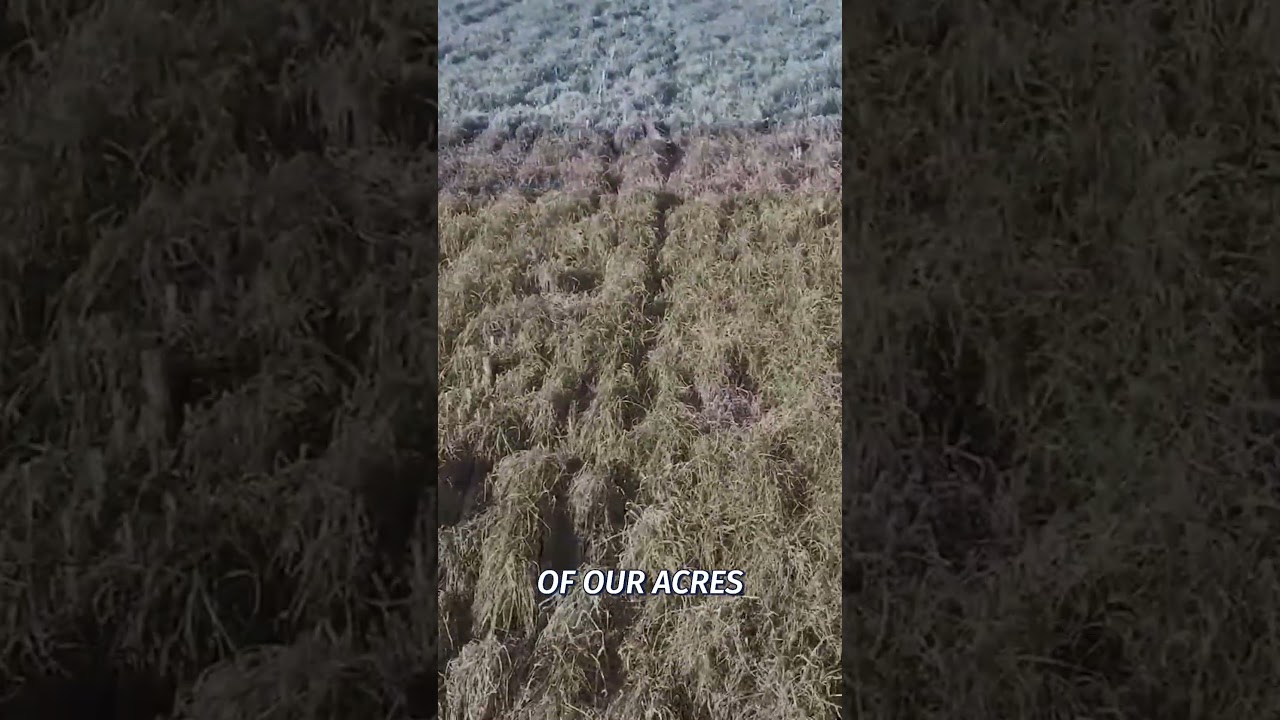 Family Farm Success: 30 Years of Dairy & Regenerative Ag