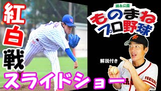 錦糸公園ものまねプロ野球紅白戦スライドショーを解説します！写真提供：ひろこんぐ、解説：桑田真似