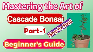 Cascade Style  Bonsai | Step by Step | Beginners Guide | Part-1|BonsaiForestbd