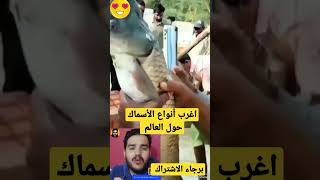 اغرب أنواع الأسماك حول العالم