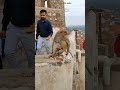 Amazing Wild Monkey Encounter: See How This Macaque Reacts to Food!