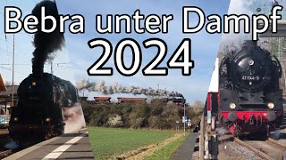 Zug, Dampfloks | Bebra unter Dampf 2024