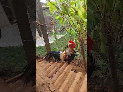 30 de março de 2026