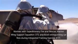 Around the MEF