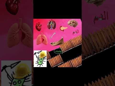 شاهد الحيل الكيميائيه الضاره بجسمك التي لا تعلمها على قناه انستقرام   