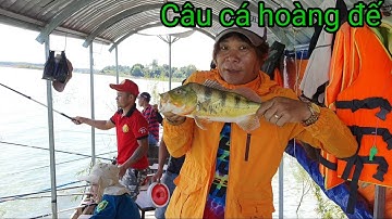 No.33 Câu cá và cấm trại trên đảo hoang giữa lòng hồ Trị An