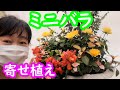 【寄せ植え】ミニバラ・キンギョソウ・観賞用トウガラシ・ユーカリ