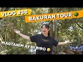 PAANO KAMI SA PROBINSYA? | Sharlene San Pedro - Vlog #36