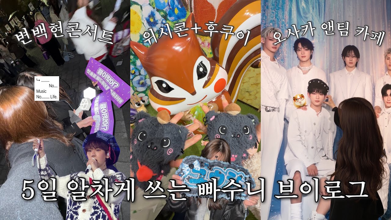 백현부터 엔시티 위시까지 ♬⋆.˚ 콘서트 & 후쿠이 여행🦕 ➪ 시즈니 브이로그 | Our wish in Hyogo | Reverie dot | 앤팀 르네로그