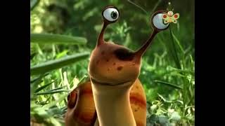 Babytv Mr Snail Grasshopper