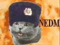 Pycc  soviet happy cat burns you